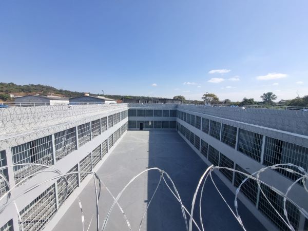 dl2