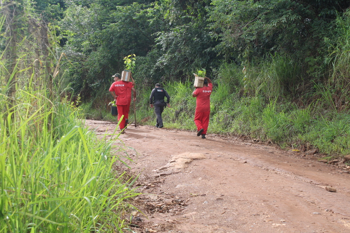 WhatsApp Image 2026 03 12 at 14.38.36